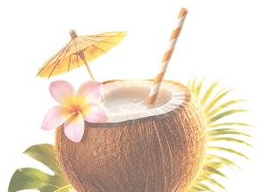 coconut
